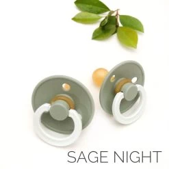 Bibs Pacifier 2 Pk Sage Night -Baby Care Shop Bibs Pacifier 2 Pk Sage Night 261248 13206.1670625662
