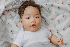 Nest Designs Bamboo Duvet Cover Squirrely -Baby Care Shop Nest Designs Bamboo Duvet Cover Squirrely 258941 12962.1664237569