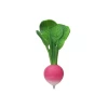Oli & Carol Teething Toy Ramona The Radish