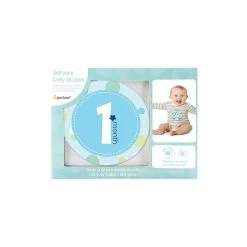 Pearhead First Year Milestone Stickers Boy